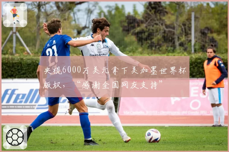 央视6000万美元拿下美加墨世界杯版权，“感谢全国网友支持”