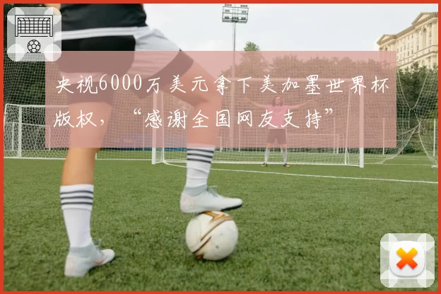 央视6000万美元拿下美加墨世界杯版权，“感谢全国网友支持”
